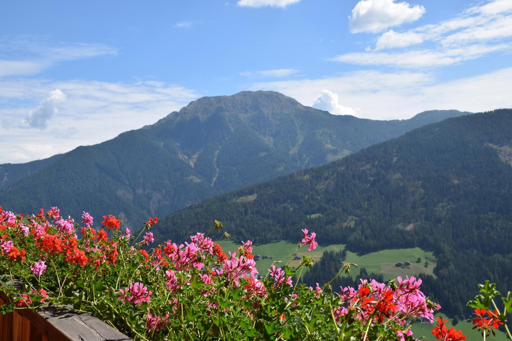 Ortlerhof Im Ultental - Urlaub Auf Dem Bauernhof Luaran gambar